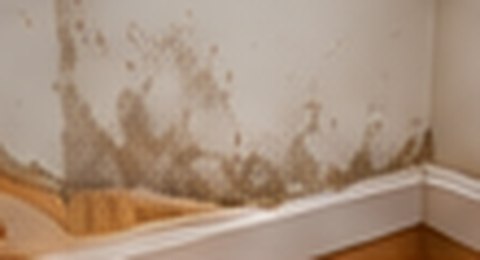 Example of damp-stained plaster